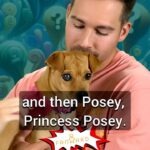 James Maslow Instagram – The story of Posey @jamesmaslow @caitlinsheyspears @princessposeypup

follow @fanwardofficial for more fan requested stories like this from James :)