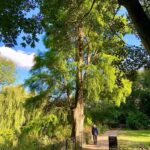 James May Instagram – Some views of Cheesewick House grounds, in nice light. End of observation.