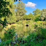 James May Instagram – Some views of Cheesewick House grounds, in nice light. End of observation.