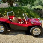 James May Instagram - Sun’s out, bug’s out.