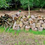 James May Instagram - Our tree fell down. Fortunately into a neat pile.