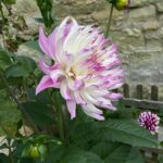 James May Instagram - Some garden nonsense.