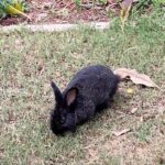 James May Instagram - Saw a bunster. That is all.