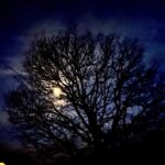 James May Instagram - Here’s Luna for the last time this decade. Hope she brings you all another ten years of love ‘n’ peace.