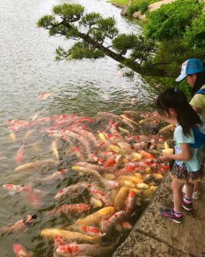 James May Instagram - Koi. I think.