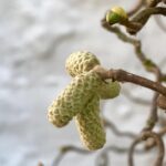 James May Instagram - Is it Spring? Please say it is.