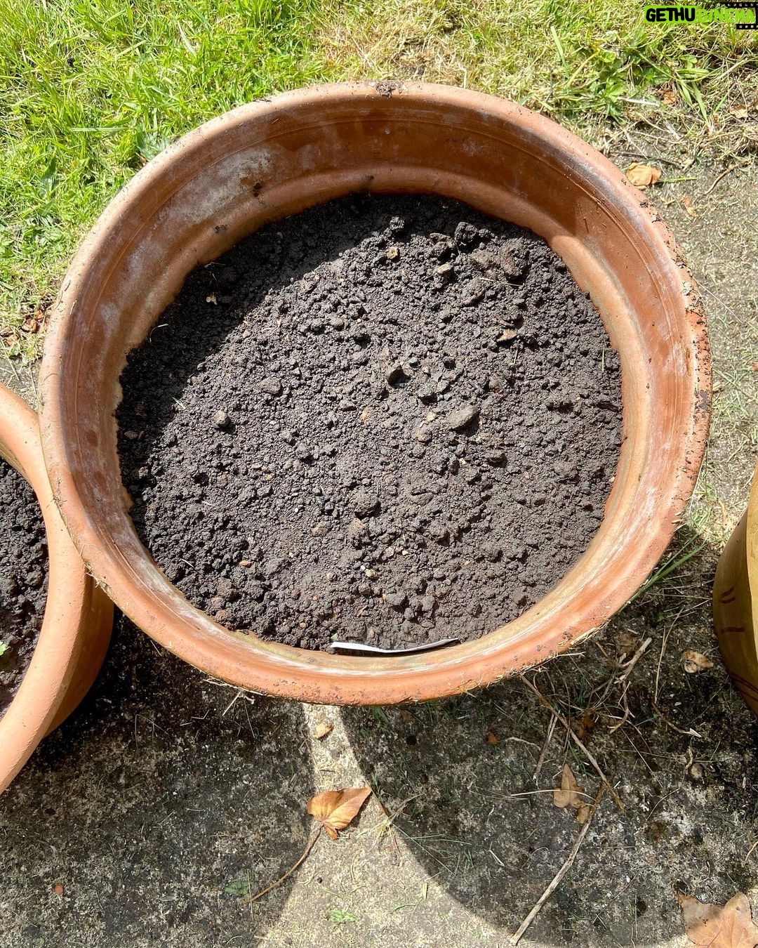 James May Instagram - I’ve planted some flowers. Nothing happening yet.