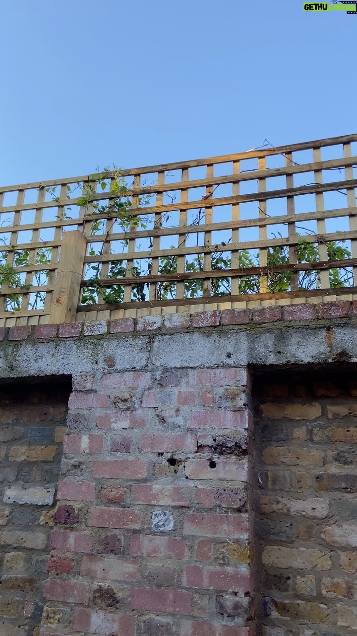 James May Instagram - Wheelbarrow birds return.
