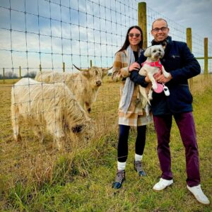 James Murray Instagram - Meet the newest member of the Murray Family, GIZMO the Mini Highland Cow! Huge thanks to Deer Run Farm for taking good care of her for us.

 Check them out here: www.DeerRunHayCo.com and Merry Christmas, all!