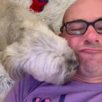 James Murray Instagram – Tix are NOW ON SALE for my Fall Comedy Tour – cities include Dania Beach / Fort Lauderdale FL, Knoxville, Louisville, Charleston WV, Sayreville NJ, Royal Oak MI, Fort Wayne IN, Providence RI, Springfield MO, Tulsa, Omaha, Tucson, San Diego, Chesterfield / St. Louis MO, Chattanooga, Albany GA, Albany NY, Tysons Corner VA, Roanoke & Norfolk! Get your tix here: www.MurrLive.com Bring the entire family for a night of laughs!