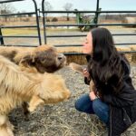 James Murray Instagram – Gizmo updates! Our bestest Mini Highland Cow is doing great, with the help of our good friends at Deer Run Hay Company. Penny and Gizmo are basically best friends at this point.

Check out the farm at www.DeerRunHayCo.com