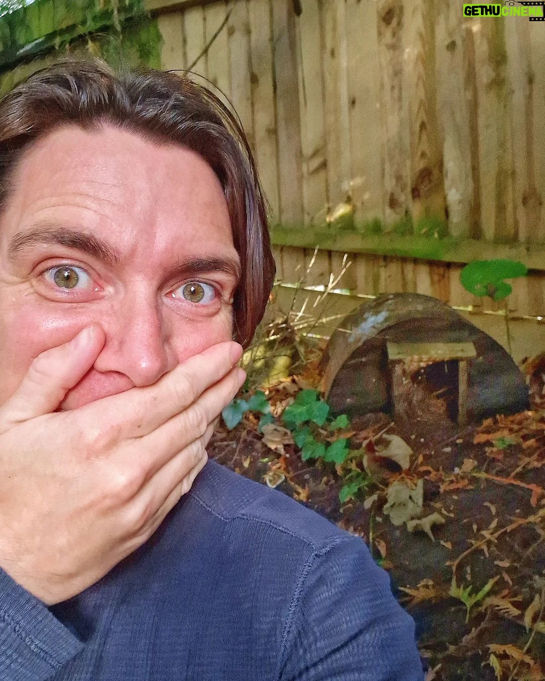 James Phelps Instagram - 🦔NEW NEIGHBOURS HAVE MOVED IN🦔 Trying not to make any noise! I noticed yesterday someone's been sleeping in the hedgehog house in my garden. From what I can see, it is just one at the moment. Welcome friend! #hedgehog #hedgehoghouse #hedgehoghighway #inanenglishcountrygarden