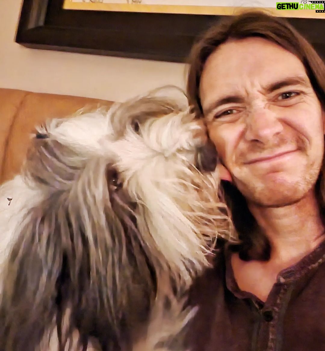 James Phelps Instagram - Monday kisses.. Tonto was very happy with England winning the first game of the world cup. #beardie #dogsarethebest