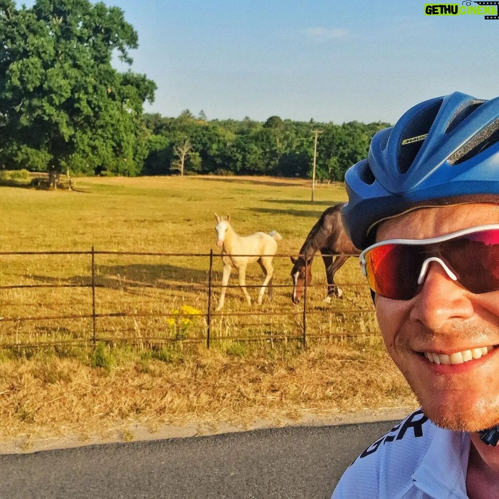 James Phelps Instagram - Sunrise bike ride. On my route there was a nice straight run next to a field when these 'locals' decided to trot with me. #sunday #horse #cycling
