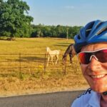 James Phelps Instagram - Sunrise bike ride. On my route there was a nice straight run next to a field when these 'locals' decided to trot with me. #sunday #horse #cycling