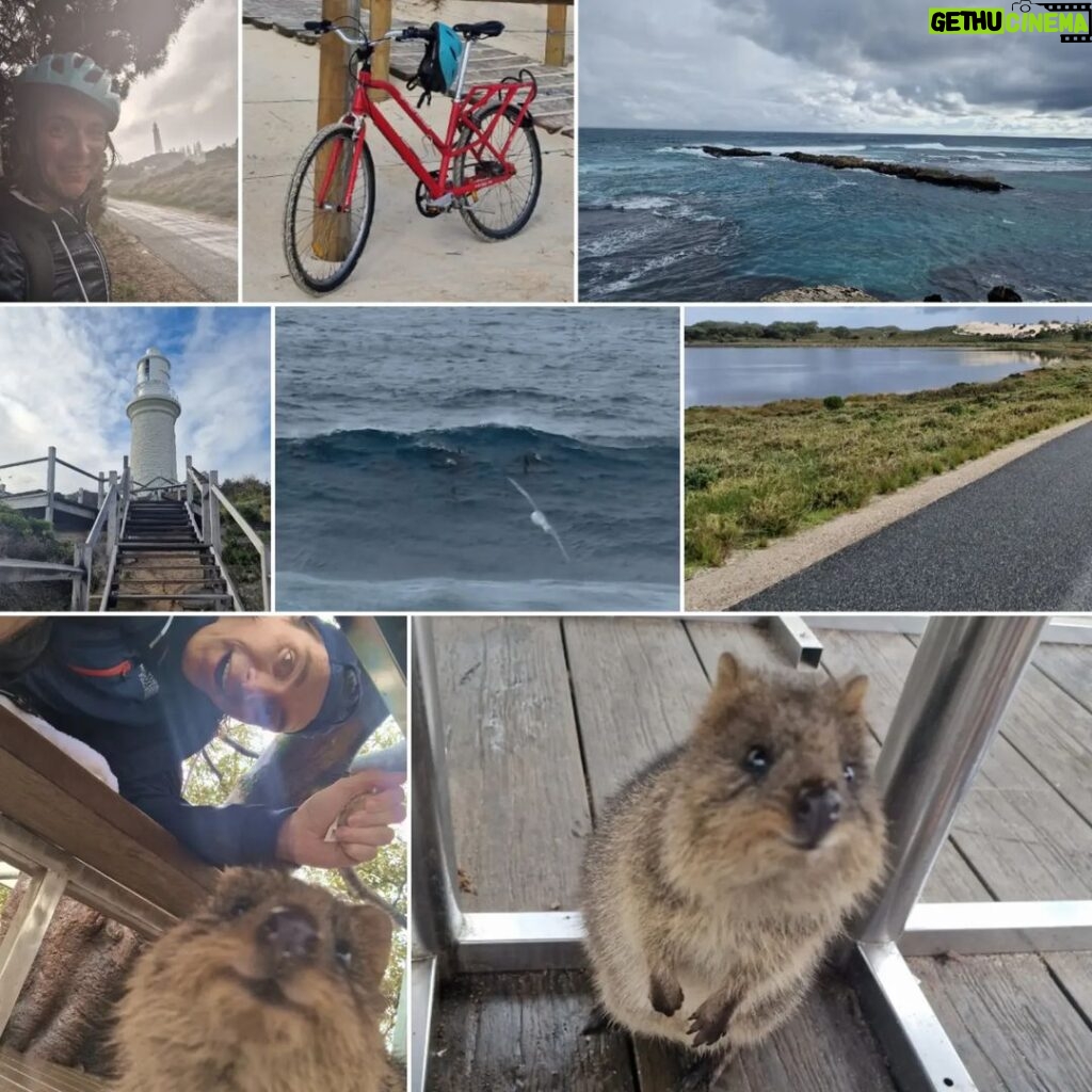 James Phelps Instagram - Took a bike 40k (in a lot of rain) around Rottness Island. Home of the Quokkas, dolphins riding waves, great cycling roads & seals out to sea. A beautiful place I wish I could have stayed longer. #rottnestisland #quokka #dolphins #cycling #soaked #travel #hashtagforthesakeofit Rottnest Island