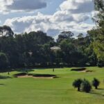 James Phelps Instagram - When you're playing so good the local Mum brings her baby to see.... #kangaroo #joey #yesonthegolfcourse #wa #golf #travel 🦘🇦🇺 Thanks Jeff, Howard and everyone at @lakekarrinyupcountryclub for a warm welcome Lake Karrinyup Country Club