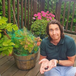 James Phelps Instagram - Bloody squirrels nicked almost all my raspberries! 
What they left did taste were gooood though. Give it a go!  #homegrownfruit #buggeroffsquirrels  #ifyouneedmeiwillbeinthegarden #hashtagforthesakeofit
