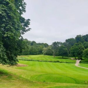 James Phelps Instagram - Great first round of the 'Phelps Irish Swing' against @oliver_phelps . First stop is the amazing @cartonhousegolf O'Mera course. After the final putt on 18 I now lead by 1!

Attached is the photo of Olivers spectacular chunk on the 15th.😁😈

Huge thanks to everyone at @cartonhouse for the amazing welcome and great times. 

#PhelpsIrishSwing #Golf #golfireland #HeIsntAGoodLooser #hashtagforthesakeofit 🇮🇪🏌️‍♂️🏆