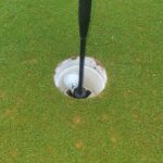 James Phelps Instagram - Evening practice and got MY FIRST EVER HOLE IN ONE!! And typical no one is on the course to see it! 2nd hole, 179yrds down wind easy 7 iron, 2 jumps and in. What are the rules if the clubhouse is shut now? #golf #ICanDieAHappyManNow #ILoveThisGame #YesIDidADanceOnTheGreen 🏌️‍♂️⛳🥳🦔