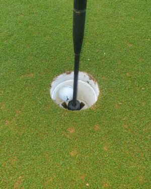 James Phelps Instagram - Evening practice  and got MY FIRST EVER HOLE IN ONE!! 
And typical no one is on the course to see it! 2nd hole, 179yrds down wind easy 7 iron, 2 jumps and in. What are the rules if the clubhouse is shut now? 
#golf #ICanDieAHappyManNow #ILoveThisGame #YesIDidADanceOnTheGreen 🏌️‍♂️⛳🥳🦔