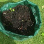 James Phelps Instagram - As you can see by my face I'm very proud of myself. After a few months I've grown my own potatoes in my garden. Very simple, give it a go. 👨‍🌾🥔🌱 #greenfingers #IHopeNoOneElseIsHungry #Endofworkoutgardening