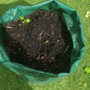 James Phelps Instagram - As you can see by my face I'm very proud of myself. After a few months I've grown my own potatoes in my garden. Very simple, give it a go. 👨‍🌾🥔🌱 #greenfingers #IHopeNoOneElseIsHungry #Endofworkoutgardening