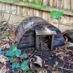 James Phelps Instagram – 🦔NEW NEIGHBOURS HAVE MOVED IN🦔
Trying not to make any noise!
I noticed yesterday someone’s been sleeping in the hedgehog house in my garden. From what I can see, it is just one at the moment. Welcome friend! #hedgehog #hedgehoghouse #hedgehoghighway #inanenglishcountrygarden
