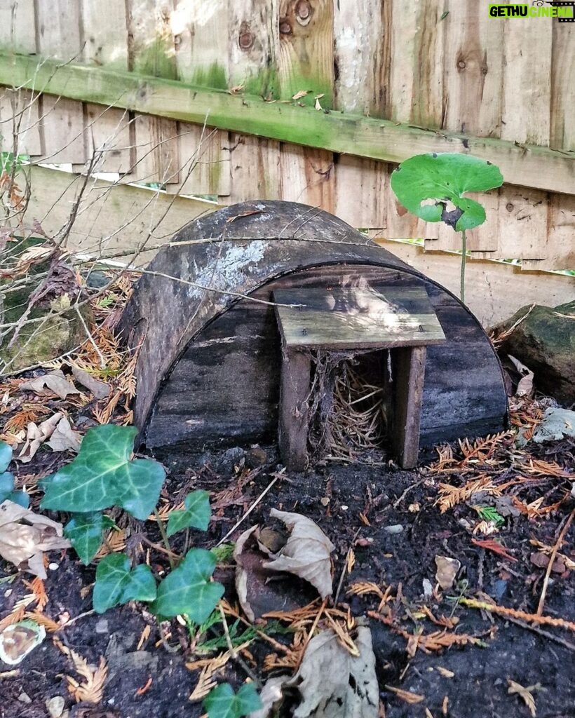 James Phelps Instagram - 🦔NEW NEIGHBOURS HAVE MOVED IN🦔 Trying not to make any noise! I noticed yesterday someone's been sleeping in the hedgehog house in my garden. From what I can see, it is just one at the moment. Welcome friend! #hedgehog #hedgehoghouse #hedgehoghighway #inanenglishcountrygarden