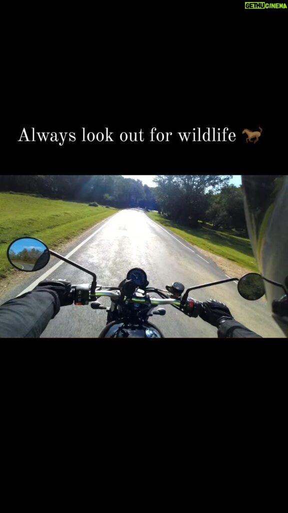 James Phelps Instagram - I was out on the bike a few days ago and this chap was in the road. Thankfully I wasn't going fast and saw him in the shadows. No revs near him and we were both safe and happy. By complete coincidence this song was playing at the same time! #scrambler900 #triumph #bike #ridealong #horse #watchforwildlife #defleppard #animal #slowforhorses 🏍🐴😁