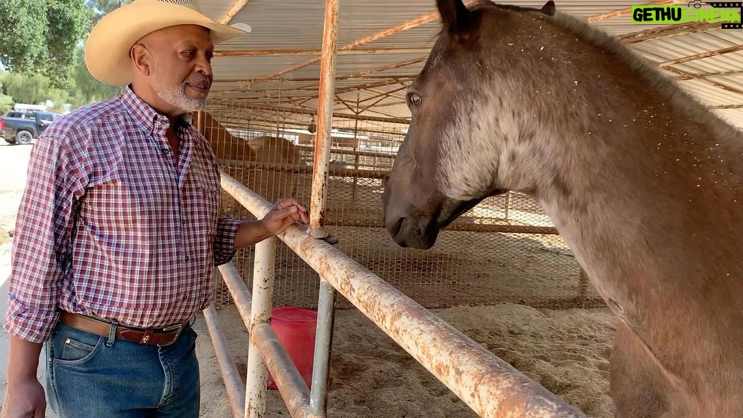 James Pickens Jr. Instagram - Moose is gonna watch tonight, are you ?