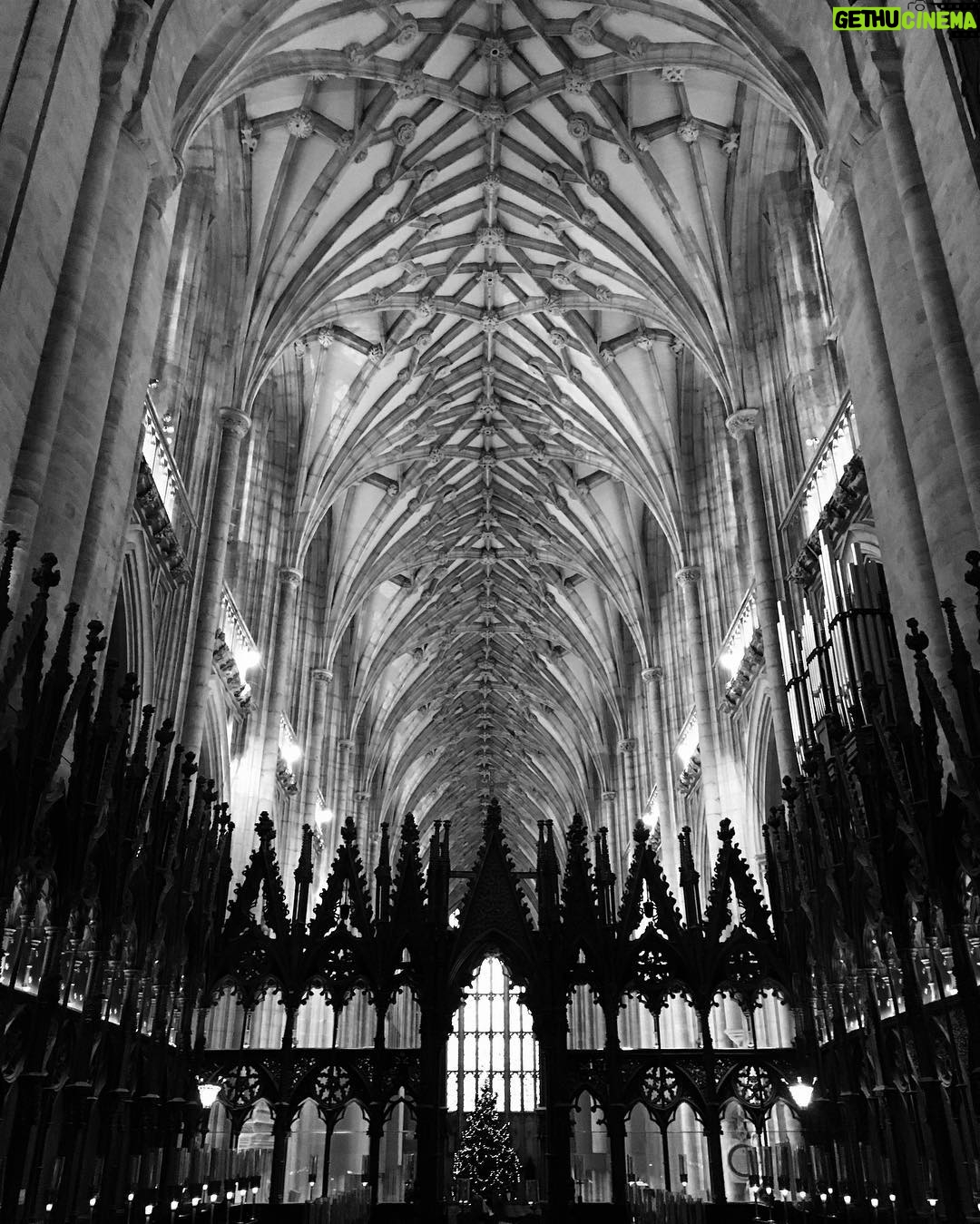 Jamie Campbell Bower Instagram - Winchester Cathedral. Feeling festive. #bahhumbug 🖤