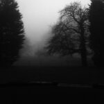 Jamie Campbell Bower Instagram - The fog rolls in.
