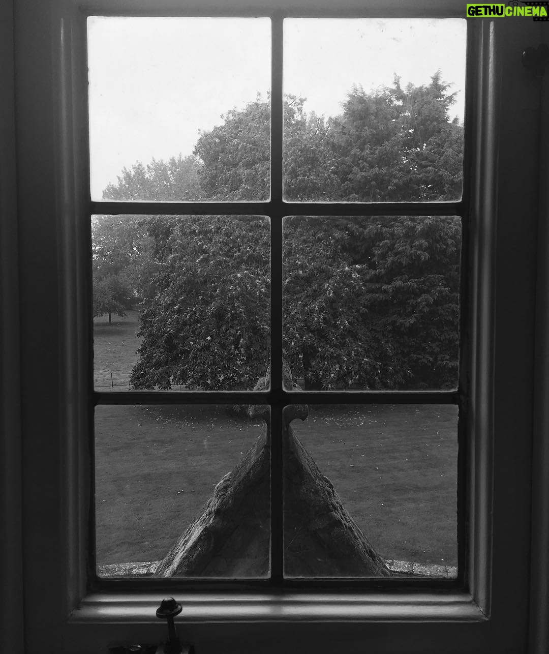 Jamie Campbell Bower Instagram - My new morning view has me all shades of calm. CampCounterfeit is a go. 🖤