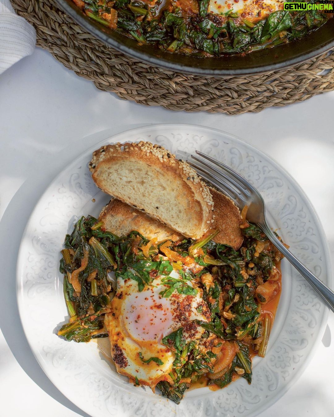 Jamie Oliver Instagram - This book does such a fantastic job of demystifying beautiful Turkish-Cypriot cooking and I’m really happy to be able to announce it as the book of the month for my Cookbook Club this March.......it’s Meliz’s Kitchen by the really great @melizcooks !! There’s literally something in the book for everyone and for every meal. So should this cookbook have a place on your shelf? My answer is a massive YES !!! Don’t forget all my Cookbook Club members on Facebook get some exclusive recipes to try each month...... 👉 Spinach & eggs 👉 Halloumi, olive & herb loaf 👉 Dad’s tomato & rice soup Hit the link in my bio to join now if you haven’t already ! Big love JO x x x #JamieOliversCookbookClub #ad