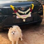 Janani Ashok Kumar Instagram - Loving & Living this life 🥹🫶🏼🧿 January 2024 = Grateful Heart ❤️ Especially the people in my life 🫠🫶🏼✨💫🙏🏼 Coimbatore, Tamil Nadu