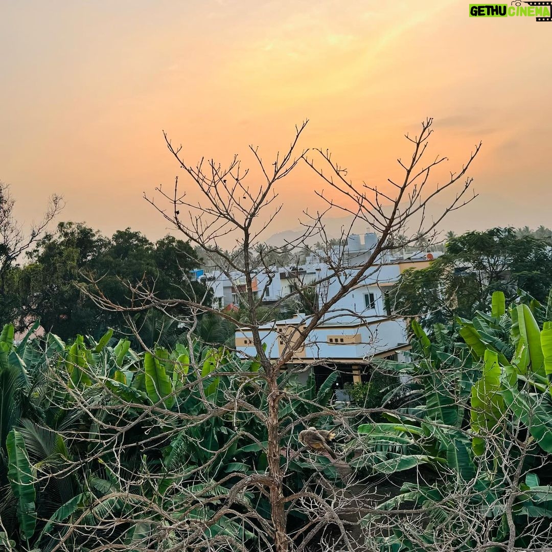 Janani Ashok Kumar Instagram - Loving & Living this life 🥹🫶🏼🧿 January 2024 = Grateful Heart ❤️ Especially the people in my life 🫠🫶🏼✨💫🙏🏼 Coimbatore, Tamil Nadu