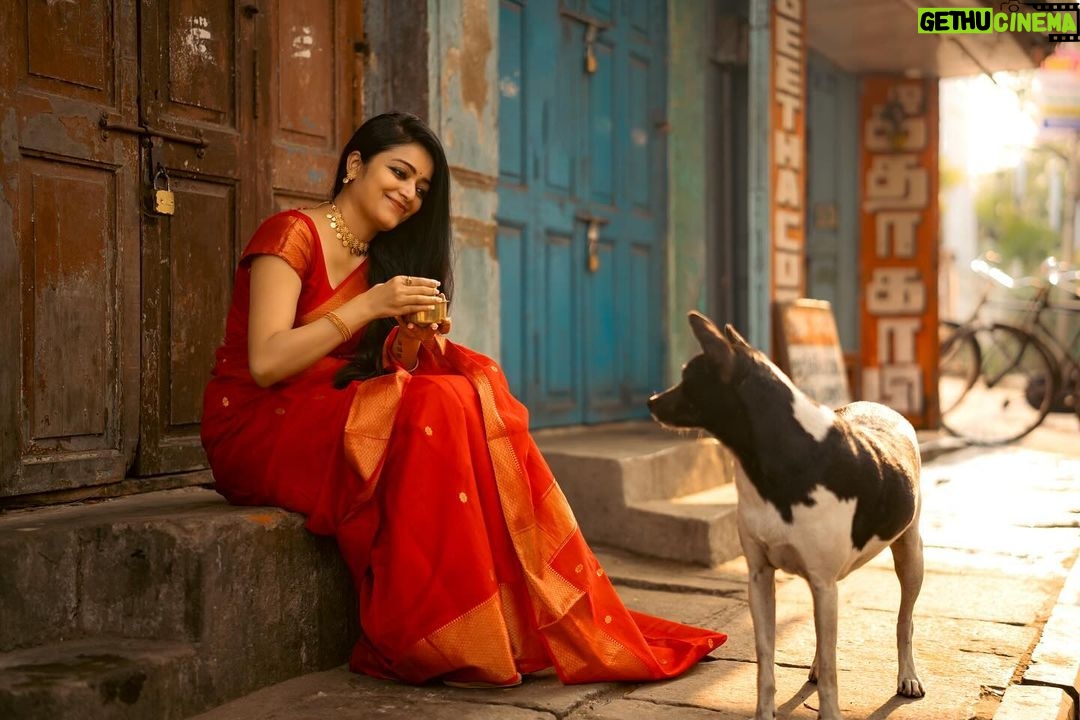 Janani Iyer Instagram - CAPTION this! ⬆️ Saree- @thepallushop Jewellery- @adorebypriyanka Shot by @murlee_photography Team @vb_views @vignesh_venkadesan @pradeepwilliams05