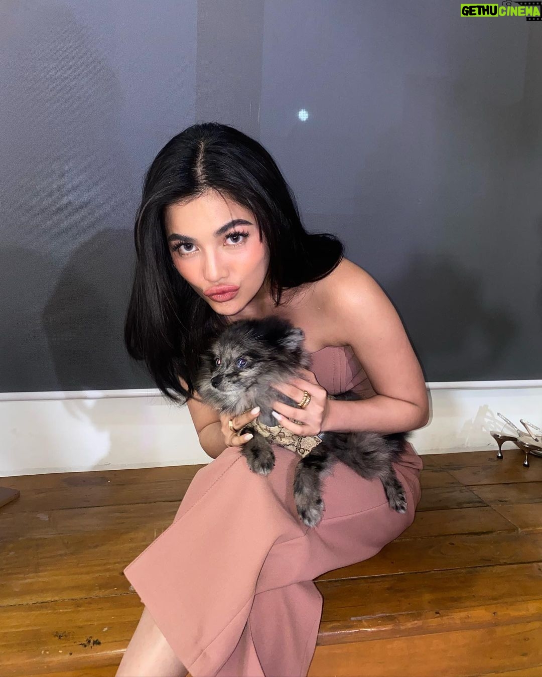Jane De Leon Instagram - Hello everyone - meet my baby Ollie. ❤️