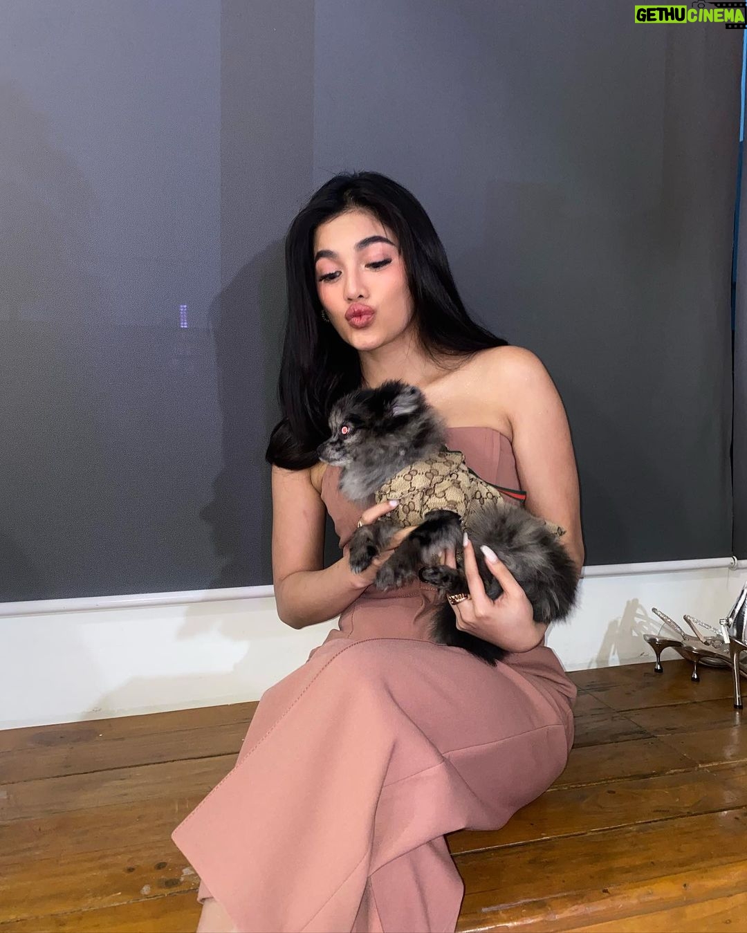 Jane De Leon Instagram - Hello everyone - meet my baby Ollie. ❤️