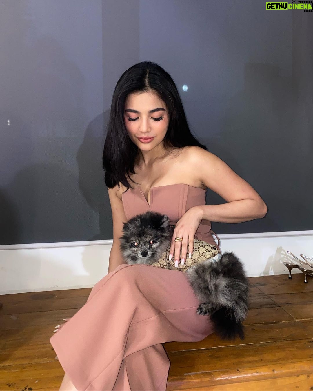 Jane De Leon Instagram - Hello everyone - meet my baby Ollie. ❤️