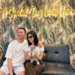 Jane De Leon Instagram - Meet Ollie & Chesca! 🤍 Our days have suddenly become brighter! Thank you @jcdogrepublic for the trust and assistance. Will be back soon! ☺️ #Latepost