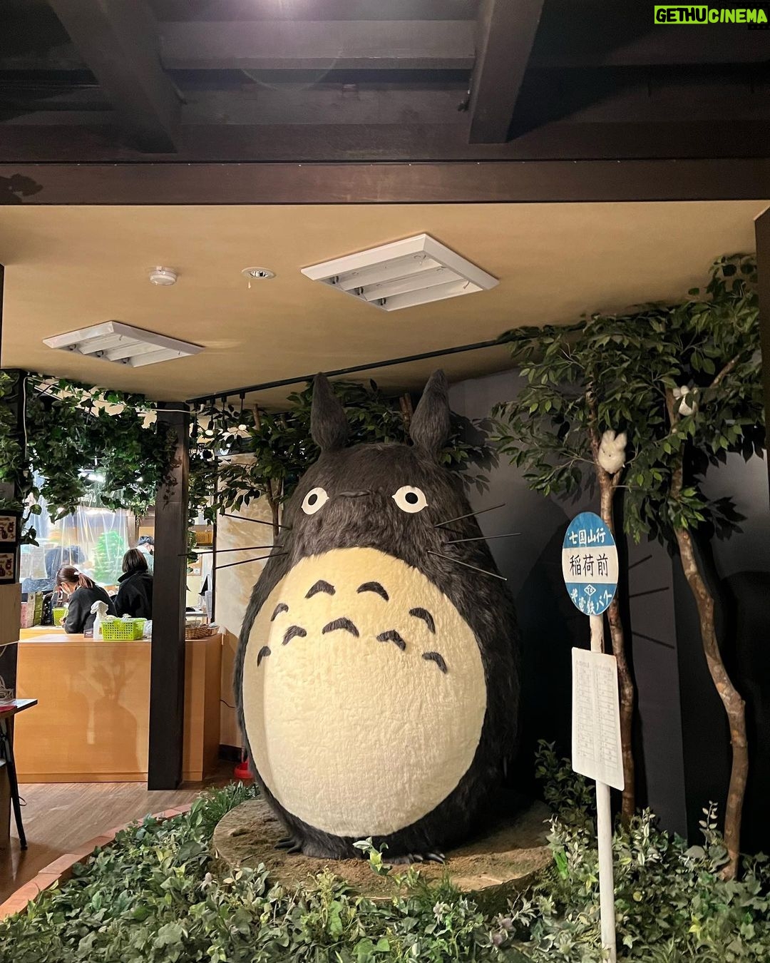 Jane De Leon Instagram - Always listen to your heart… it brings you to magical places. 🇯🇵 Kyoto, Japan