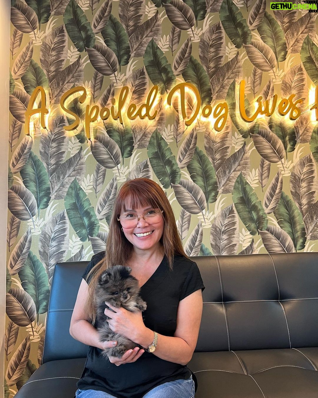 Jane De Leon Instagram - Meet Ollie & Chesca! 🤍 Our days have suddenly become brighter! Thank you @jcdogrepublic for the trust and assistance. Will be back soon! ☺️ #Latepost