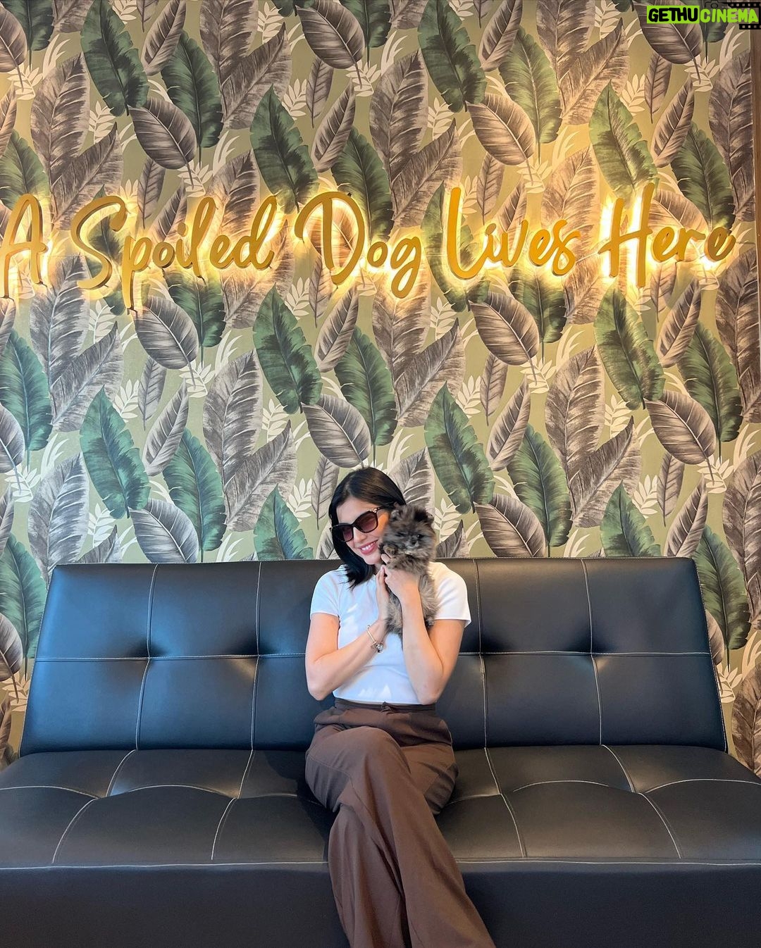Jane De Leon Instagram - Meet Ollie & Chesca! 🤍 Our days have suddenly become brighter! Thank you @jcdogrepublic for the trust and assistance. Will be back soon! ☺️ #Latepost