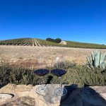Janel Parrish Instagram - It’s my birthday. Here’s a poem I wrote. I think it’s great: Big hat Drinking wine Feeling FINE 😜 thanks for the birthday love 🤍 San Luis Obispo, California