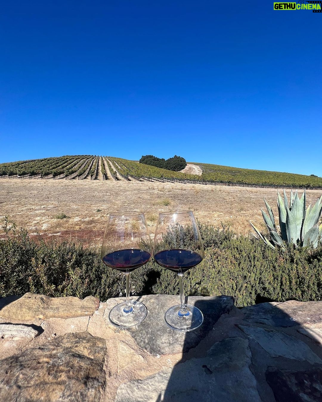 Janel Parrish Instagram - It’s my birthday. Here’s a poem I wrote. I think it’s great: Big hat Drinking wine Feeling FINE 😜 thanks for the birthday love 🤍 San Luis Obispo, California