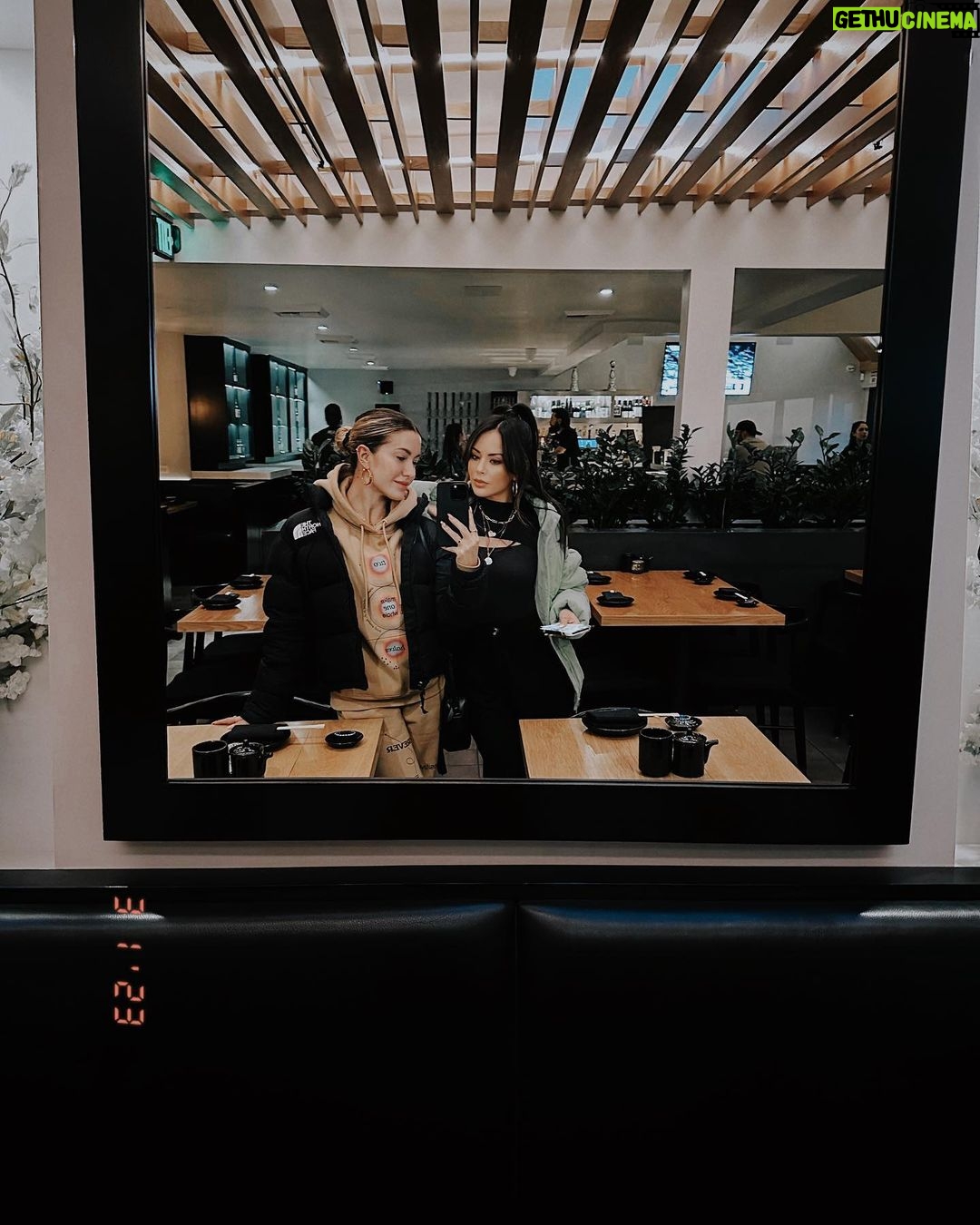Janel Parrish Instagram - Mirror pics: a series