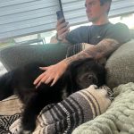 Janel Parrish Instagram - Lately: The Dog Parent Edition. Bonus points if you can tell me what show I’m watching in slide 10