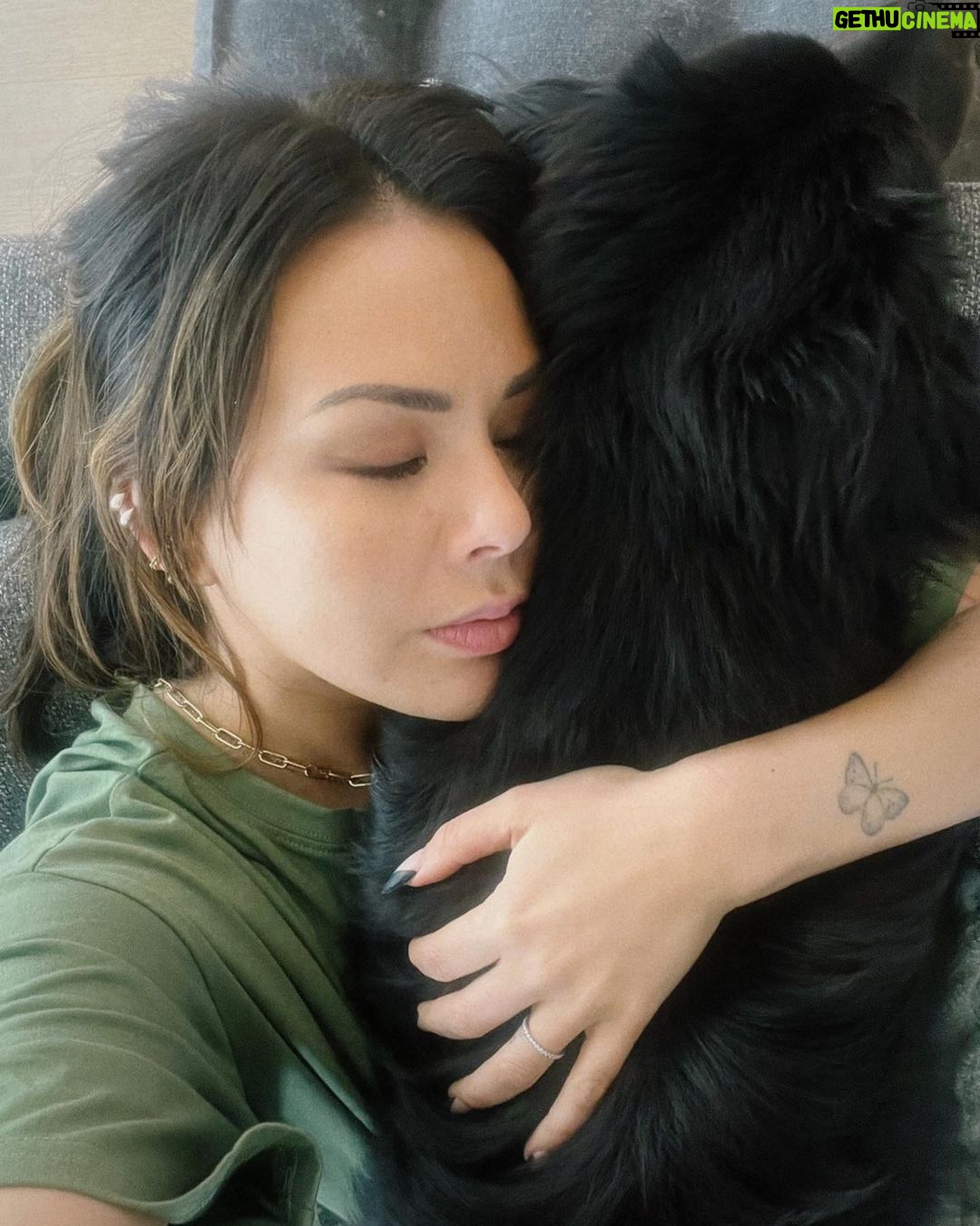 Janel Parrish Instagram - Lately: The Dog Parent Edition. Bonus points if you can tell me what show I’m watching in slide 10